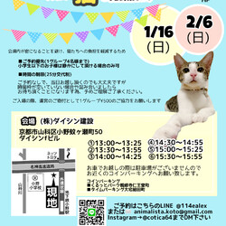 animalista古都 保護猫の譲渡会