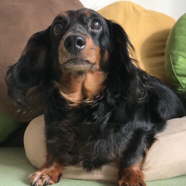 クッションに埋もれて♪