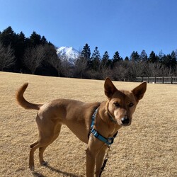 エマ4歳になりました