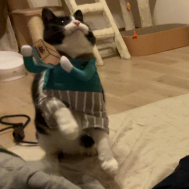 あもハクのカバー写真