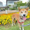 シャイだけど元気いっぱい☆あさひくん