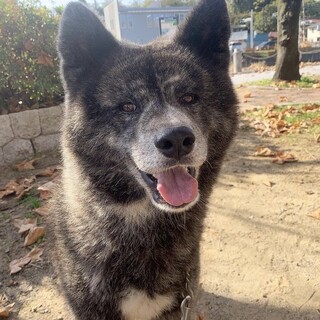 優しい男の子☆ロナくん