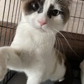 生後8ヶ月の好奇心旺盛な男の子♪