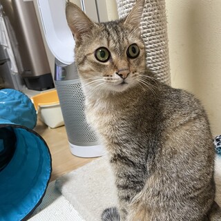 ハンデなんて関係ない元気っ子⭐️