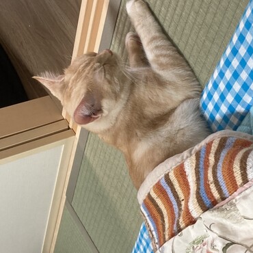 眠いんで...