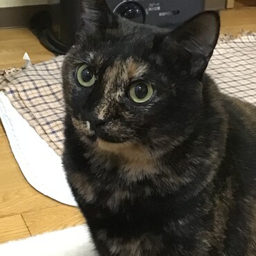 何があったの⁉️ちょここんさん！！！イーちゃんなんで・・・悲しすぎる