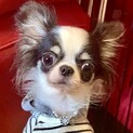 更別（さらべつ）今度はわたしのママ探し❤