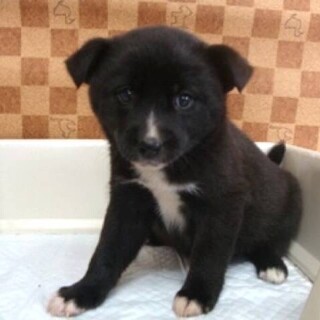 ありがとうございました！