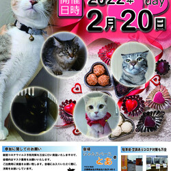 にゃんスペースとあ　ねこのお見合い会