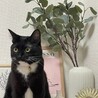 ナラナラ