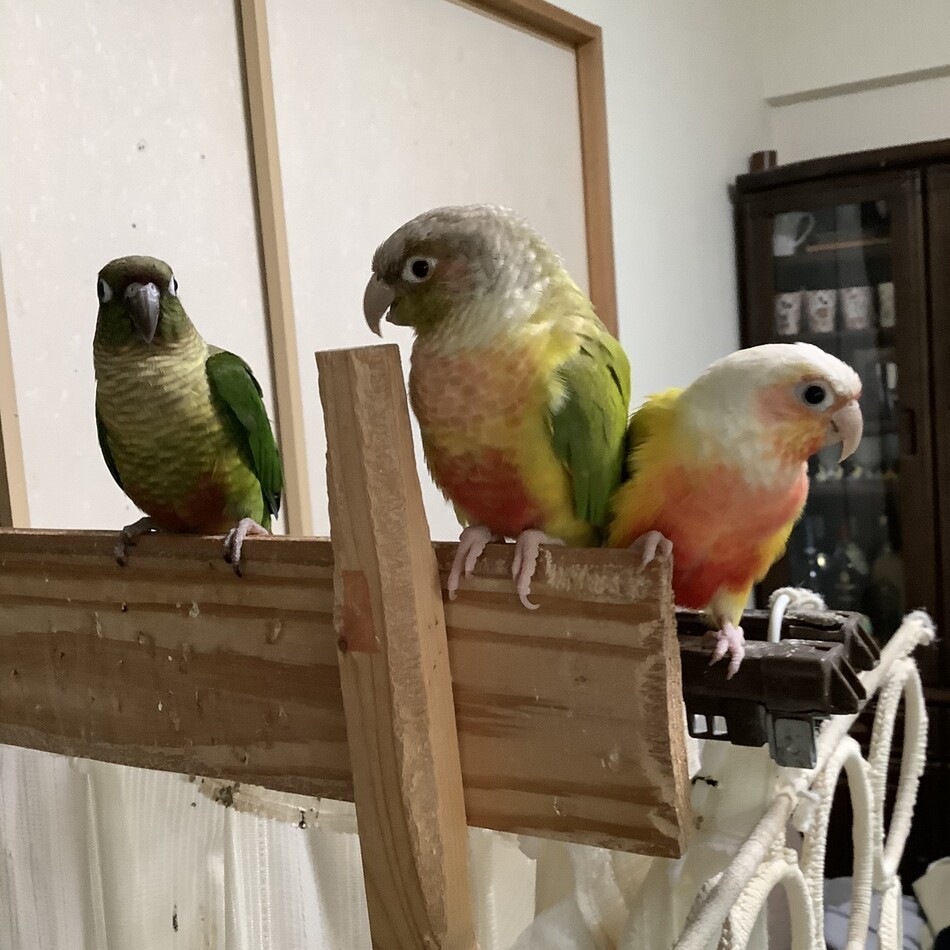 源太のカバー写真