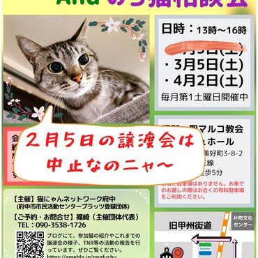 2/5の譲渡会は中止です！