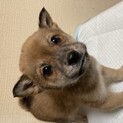 マル君里親様決定！