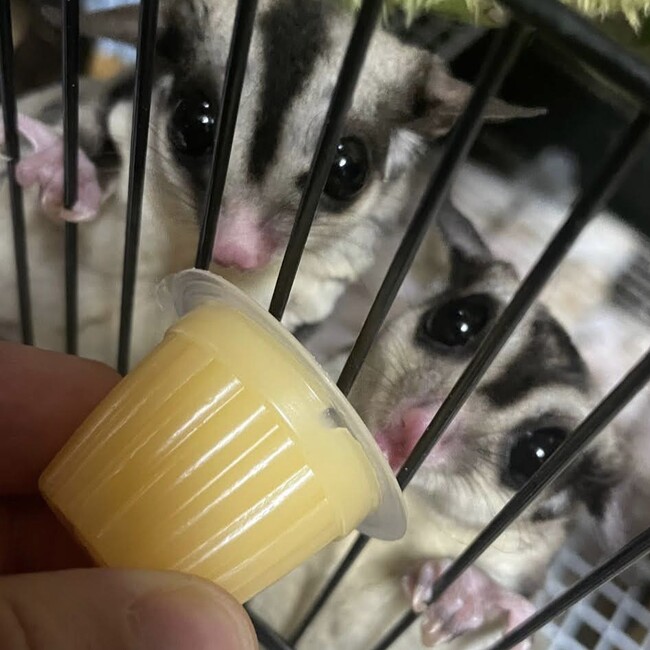 たけたろすのカバー写真