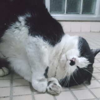 魅惑のボディ＆優しい性格☆愛嬌抜群！男の子