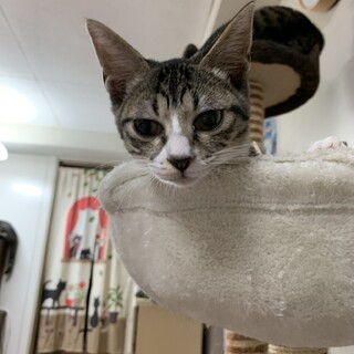 遊ぶの大好き‼️食べるの大好き‼️