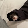 の写真
