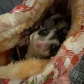交渉中につき、一旦募集締め切ります