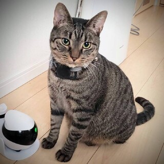 ♥ボクは今度こそぜったいに幸せを掴むんだ♥