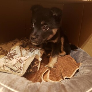 ♡ ルナちゃん長野茅荻