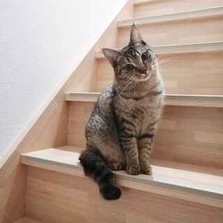 兄妹はみんな卒業したよ！ご家族さま、待ってます❤️