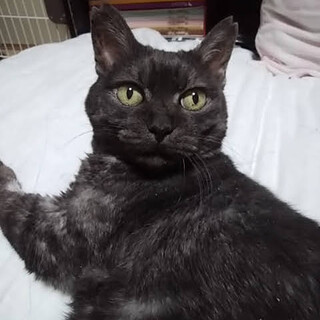 3本足になりました！