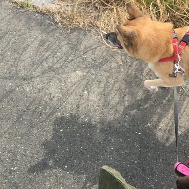 の写真