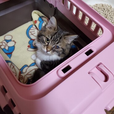 森　伊蔵の写真