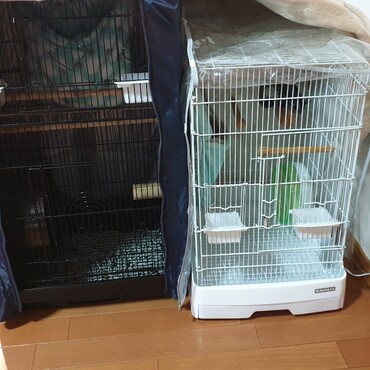 新しい部屋への移動