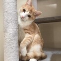 もちもちボディ❤️もなかくん