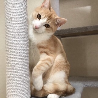 もちもちボディ❤️もなかくん