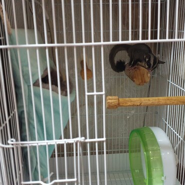 新しい部屋への移動２