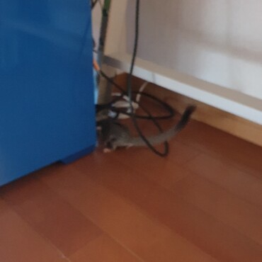 新しい部屋への移動６