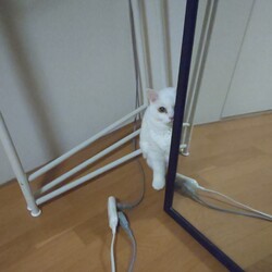 今までで一番近いね