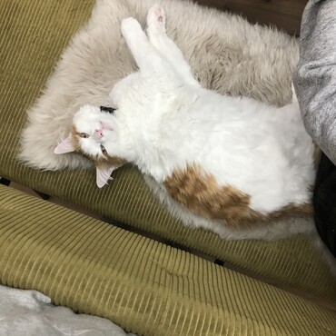 9ヶ月になりました☺️すくすく育ってくれてありがとう❤️