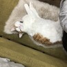 9ヶ月になりました☺️すくすく育ってくれてありがとう❤️