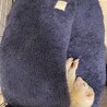 おてて揃えてかわいいねえ