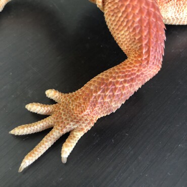 あち