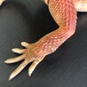 あち