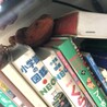 お散歩先の隠れ家
