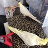 整理整頓してる時のイタズラ待ち