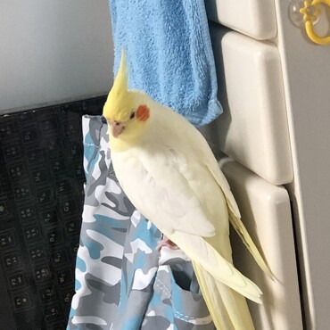 気づいた時にここにいた