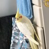 気づいた時にここにいた