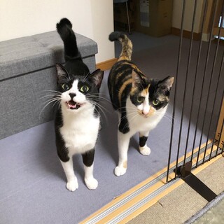 ★仲良し親子★