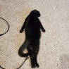 ぱるむんく