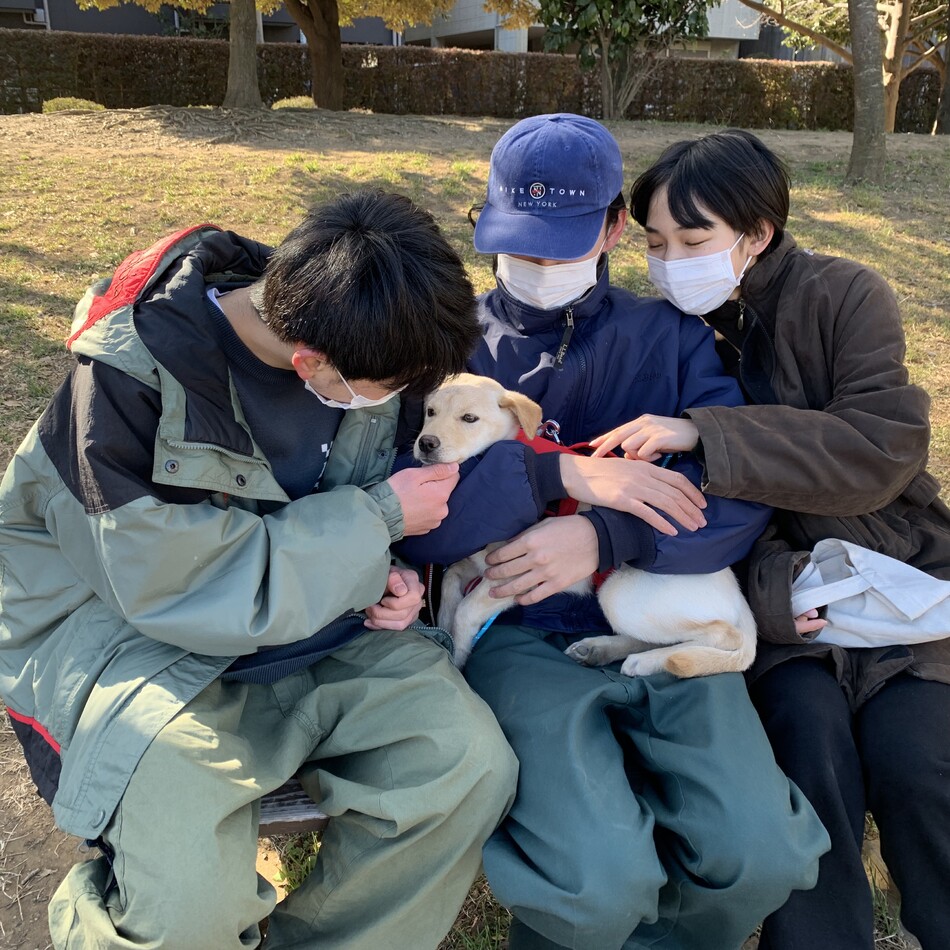 ナラのカバー写真