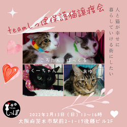 teamしっぽ譲渡会