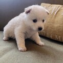 一旦停止中です