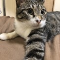 可愛いうめちゃん！慣れたら甘えん坊！