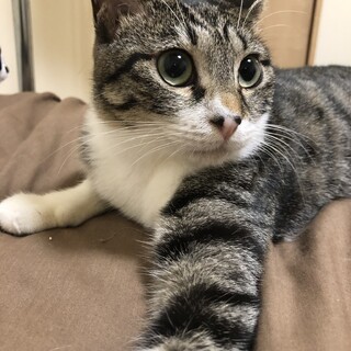 可愛いうめちゃん！慣れたら甘えん坊！